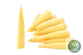 Củ năng tươi gọt vỏ